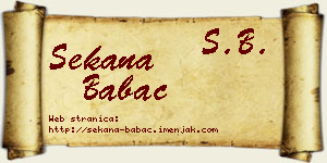 Sekana Babac vizit kartica